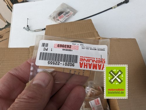 PXL_20240528_172501744